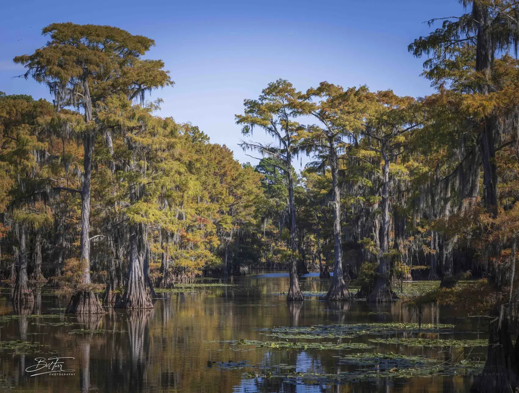 Cypress Water