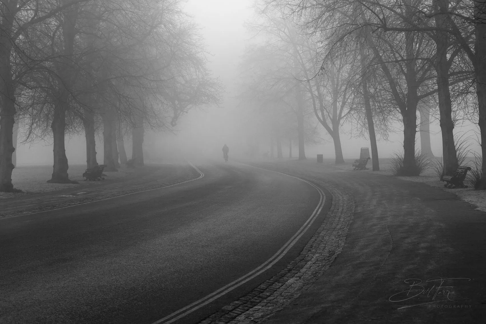 Morning Fog