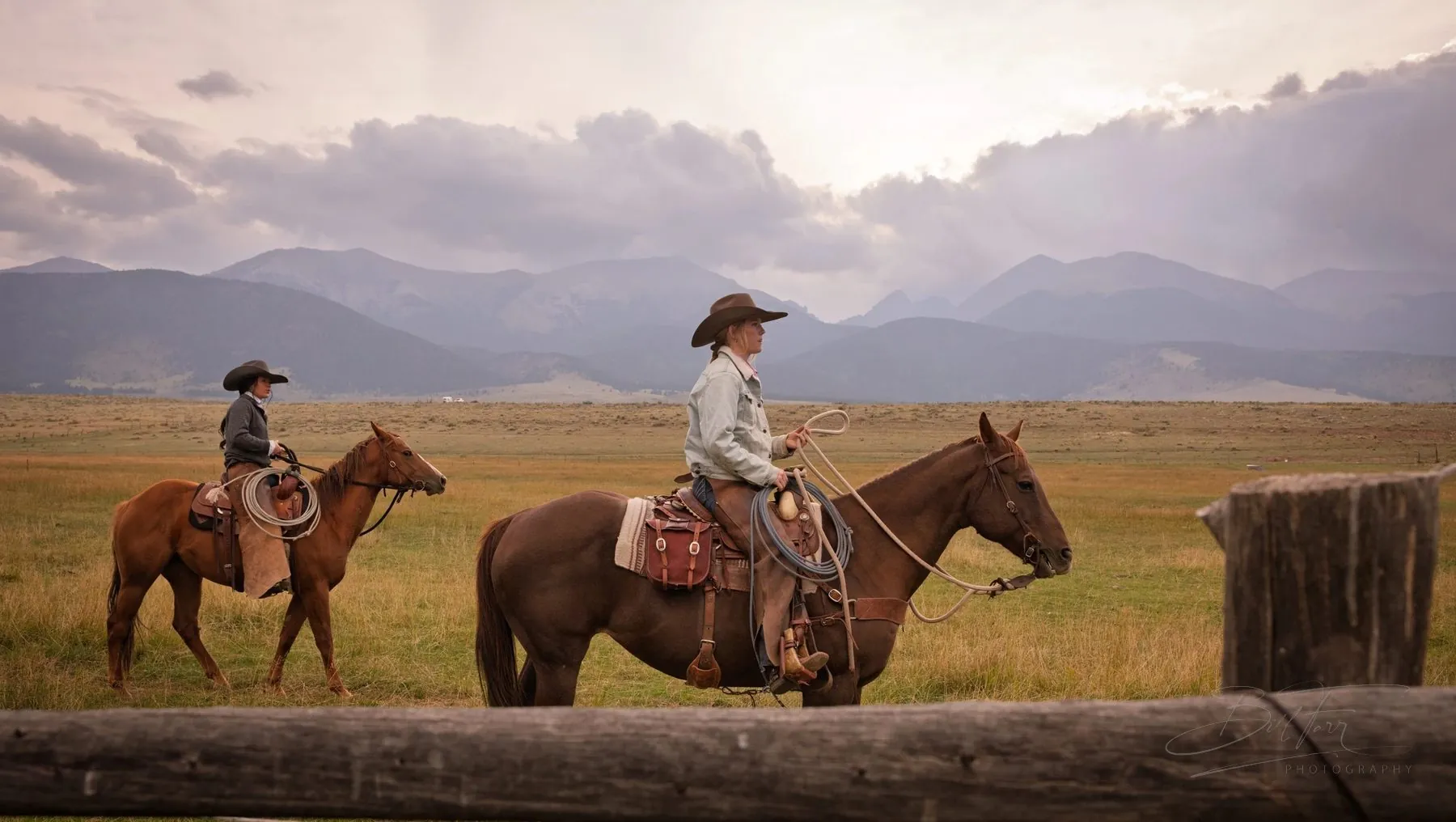The Wranglers